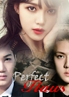 Perfect Flaw Cover.png